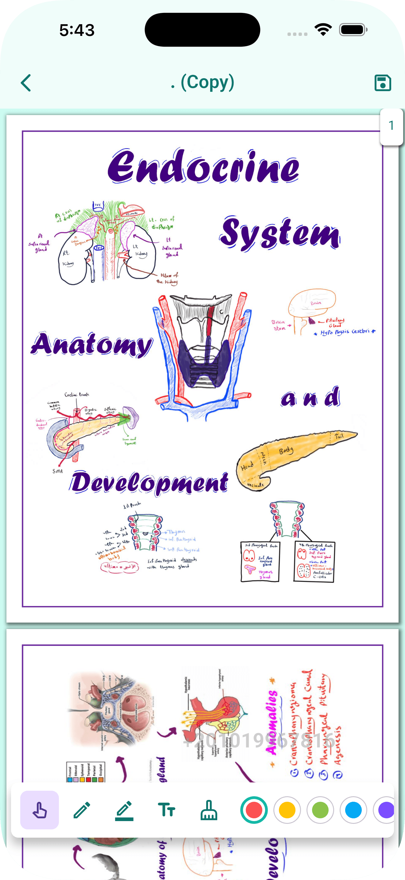 اكتب ملاحظاتك داخل الـ PDF
