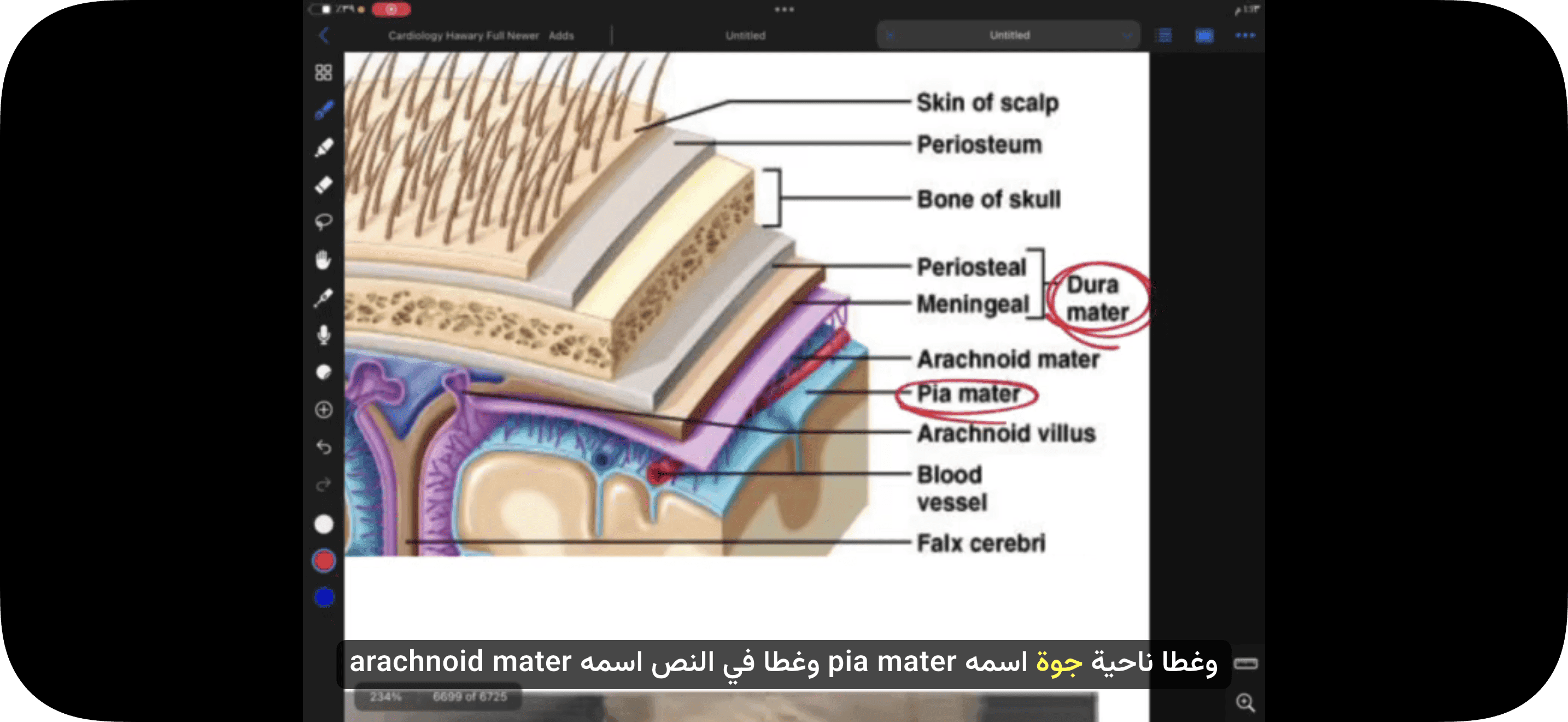 تفريغ كامل للفيديوهات